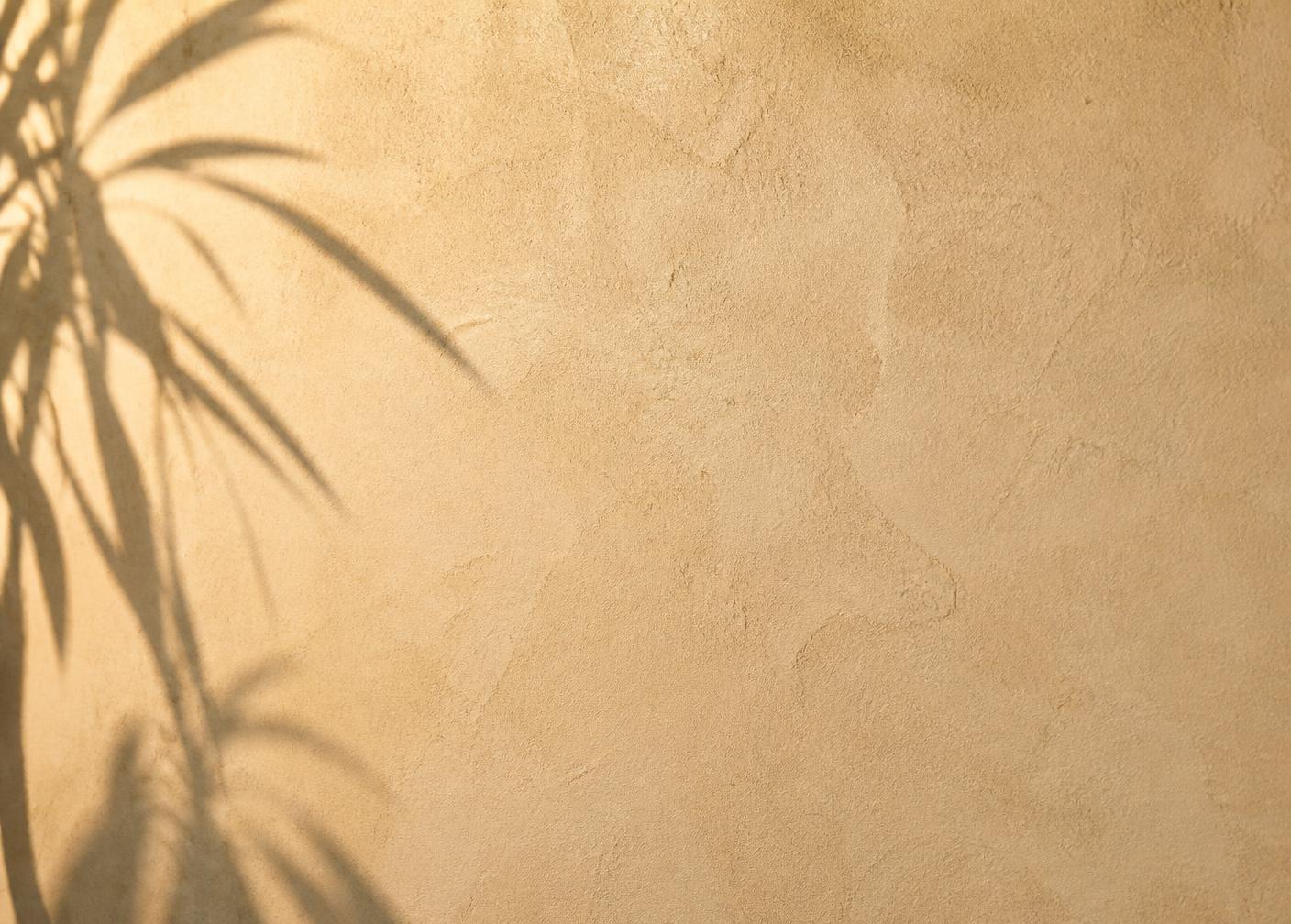Soft daylight and leaf shadows on a warm clay wall